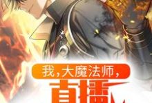 林逸白有容小说在线章节免费阅读（我，大魔法师，直播隔空取物无弹窗无删减）-经典文学