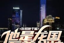 你惹他干嘛，他是龙国至尊战神小说无弹窗阅读的网站推荐-经典文学