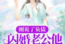 已完结小说《刚说了负债，闪婚老公他身份曝光了？》章节免费阅读-经典文学