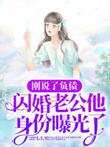 已完结小说《刚说了负债，闪婚老公他身份曝光了？》章节免费阅读