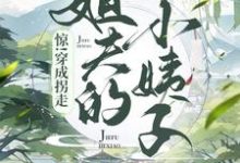 小说《惊!穿成了拐走姐夫的小姨子》在线章节阅读-经典文学