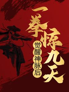 主人公叫江玄云曦的小说觉醒神脉后，一拳惊九天在线阅读章节