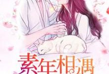 男女主人公叫程诗晓陆邵阳的小说免费资源-经典文学