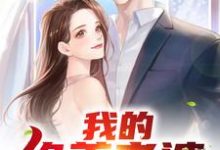 我的绝美老婆陈南吴真真许璐璐高雪小说免费阅读-经典文学