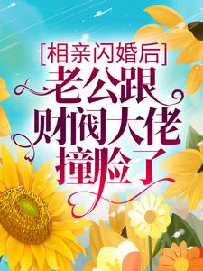 相亲闪婚后，老公跟财阀大佬撞脸了最新章节，相亲闪婚后，老公跟财阀大佬撞脸了章节在线阅读