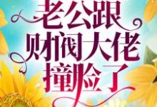 相亲闪婚后,老公跟财阀大佬撞脸了最新章节,相亲闪婚后,老公跟财阀大佬撞脸了免费阅读-经典文学