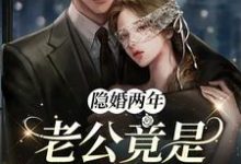 完结版《隐婚两年，老公竟是千亿大佬》在线免费阅读-经典文学