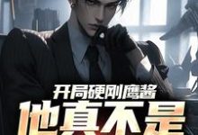 完结版《开局硬刚鹰酱，他真不是馋光刻机》在线免费阅读-经典文学