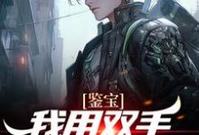 小说《鉴宝：我用双手称霸学术界》章节免费阅读-经典文学