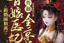 新婚闹和离！替嫁医妃炸翻全京城小说全文阅读需要付费吗？寻找免费资源-经典文学