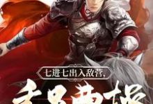 三国:千里外取敌首级,此乃大将!小说完结版章节免费阅读-经典文学
