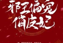 小说《邪王偏宠俏皮妃》章节阅读-经典文学