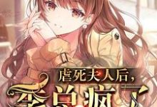 小说《虐死夫人后,季总疯了》在线章节阅读-经典文学