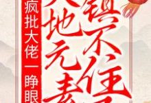 颜夜安君墨言为主角的小说疯批大佬一睁眼,天地元素镇不住了在线阅读-经典文学