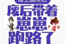 搬空国库后,废后带着崽崽跑路了!小说全文阅读需要付费吗?寻找免费资源-经典文学