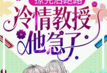白枝周淙也为主角的小说叫什么?免费看撩完后跑路,冷情教授他急了-经典文学