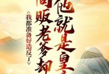 完结版《我都准备好造反了，商贩老爹却说他就是皇帝？》免费阅读-经典文学