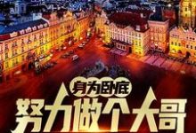在线搜索白舟的完整小说，免费阅读身为卧底，努力做个大哥不过分吧-经典文学