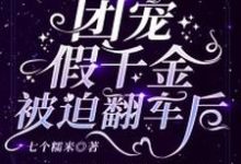 免费阅读秦念穆沉舟为主角的小说，团宠假千金被迫翻车后在线看-经典文学