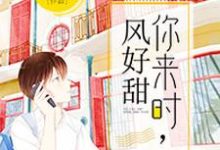 主角叫林舒沈遇书何小叶江耀小说你来时，风好甜章节免费阅读-经典文学