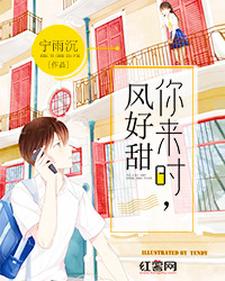 主角叫林舒沈遇书何小叶江耀小说你来时，风好甜章节免费阅读