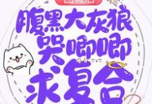 回城后,腹黑大灰狼哭唧唧求复合小说,回城后,腹黑大灰狼哭唧唧求复合章节在线阅读-经典文学