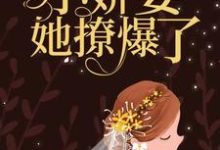 舒念微封南修小说《受不了！小娇妻她撩爆了》在线阅读-经典文学