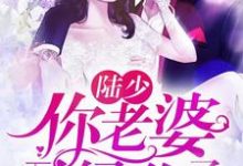 陆少,你老婆又绿你了小说免费资源,陆少,你老婆又绿你了在线阅读-经典文学