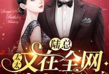 陆总，太太又在全网选老公了这本小说怎么样？免费在线阅读试试-经典文学