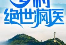 在线寻找陆枫洛神的小说，乡村绝世疯医免费阅读-经典文学