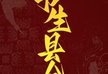 主人公叫吴心童瑶瑶的小说书生县令在线阅读章节-经典文学