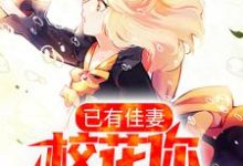 男女主人公叫顾辰时的小说免费资源-经典文学