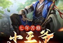 小说《七年苦修，小王爷武林第一》章节阅读-经典文学