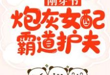 刚穿书，炮灰女配霸道护夫主角乔星棉顾聿小说完结版章节在线阅读-经典文学