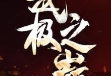 武极之巅小说阅读,武极之巅完结版-经典文学