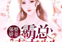 小说《强娶娇妻：霸总请克制》章节阅读-经典文学