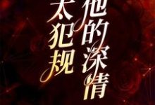 云湛宋初晓为主角的小说叫什么?免费看他的深情太犯规-经典文学
