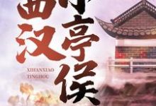 西汉小亭侯小说，西汉小亭侯赵启明解忧静安公主-经典文学
