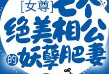 已完结小说《女尊:七个绝美相公的妖孽肥妻》章节免费阅读-经典文学