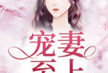 宠妻至上小说的免费阅读版本在哪里可以找到？-经典文学