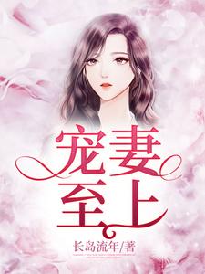 免费在线阅读宠妻至上小说的正规网站有哪些？