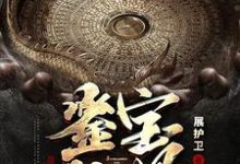 鉴宝神眼小说全文哪里可以免费看？-经典文学