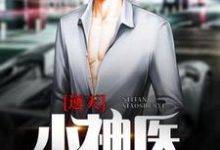 孙浩陆飞燕周俊豪小说叫什么(逆天小神医免费阅读)-经典文学