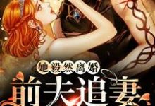 盛相思傅寒江小说在哪里可以看-经典文学