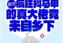 寻找震惊!疯狂抖马甲的真大佬竟来自乡下小说的最新更新章节-经典文学