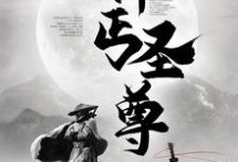 神丐圣尊小说免费资源，神丐圣尊在线阅读-经典文学