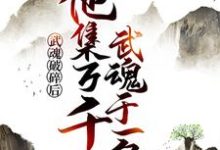 武魂破碎后，他集万千武魂于一身小说全文哪里可以免费看？-经典文学