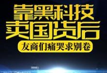 哪里能找到靠黑科技卖国货后，友商们痛哭求别卷小说的全部章节？-经典文学