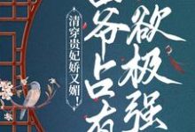 免费看清穿贵妃娇又媚！四爷占有欲极强小说的网站有哪些？-经典文学