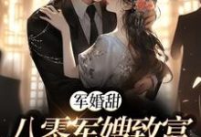 军婚甜：八零军嫂致富撩夫两不误陆宴寻姜枣，军婚甜：八零军嫂致富撩夫两不误章节在线阅读-经典文学
